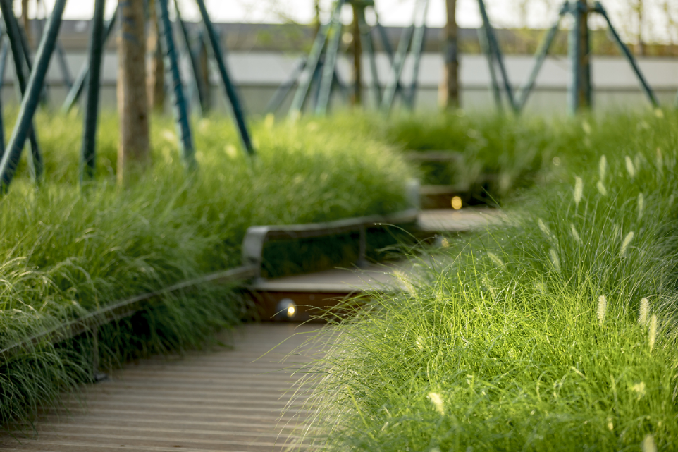 郑州荥阳融创•御栖玖里 | 自然与艺术的和谐共生-39