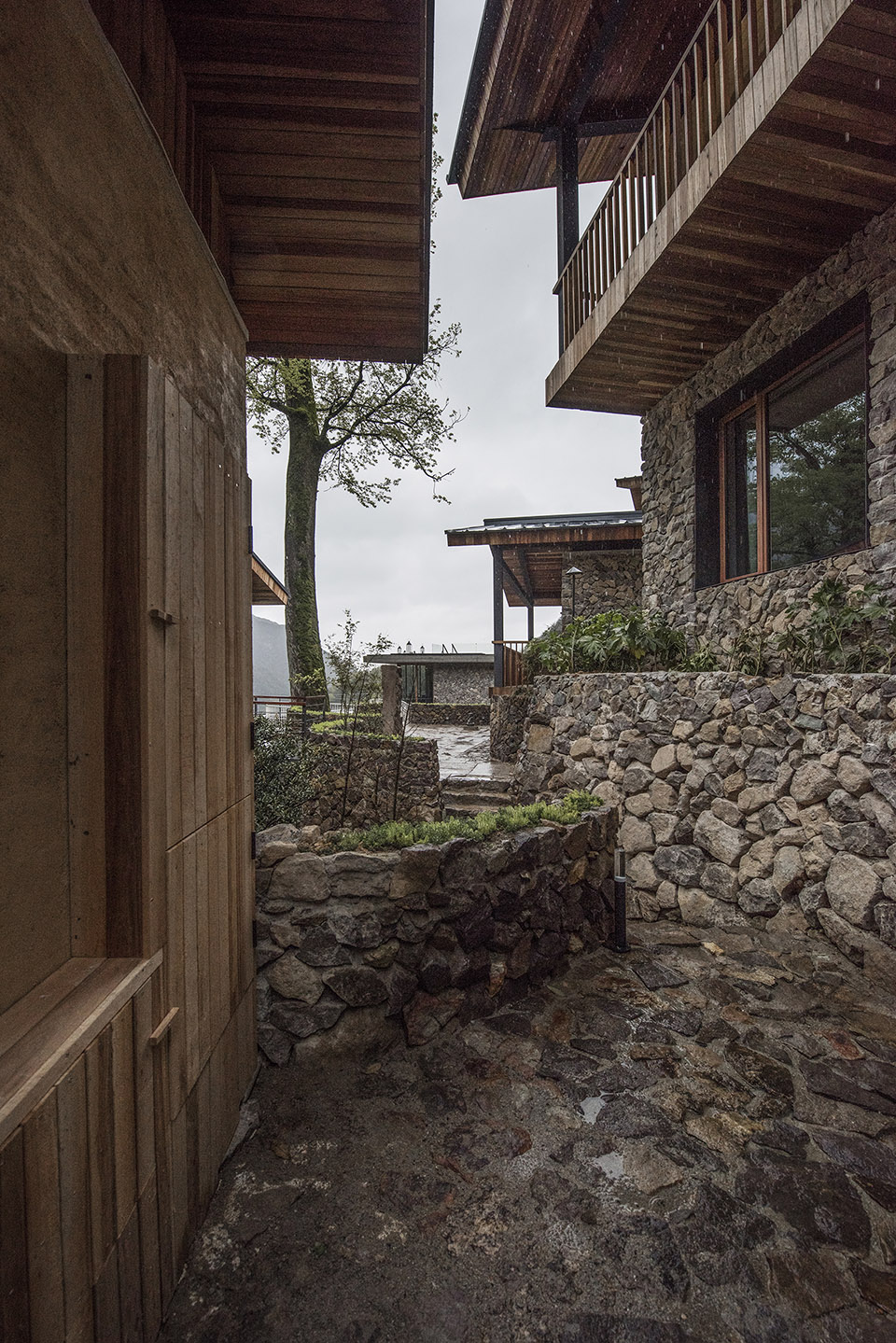 松阳原舍 · 揽树山房 / gad · line+ studio-92