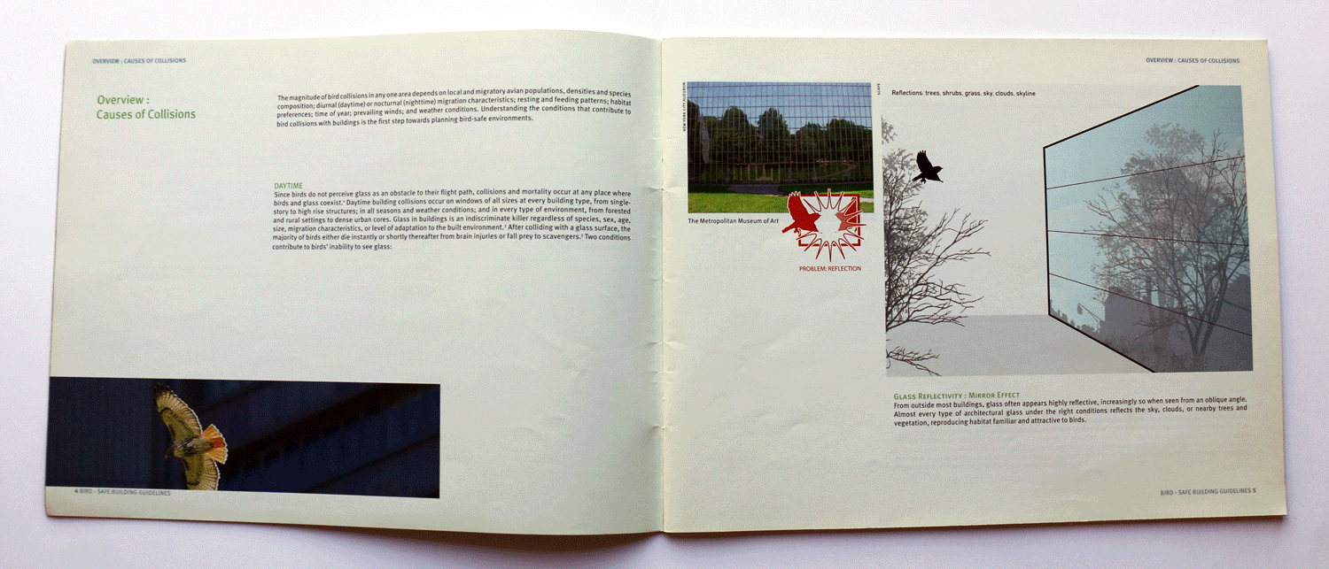 
          Bird-Safe Building Guidelines - SCAPE      -7