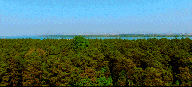 珠海首个沉浸式,体验式,地缘文化娱购公园丨中国珠海丨空间印象-2