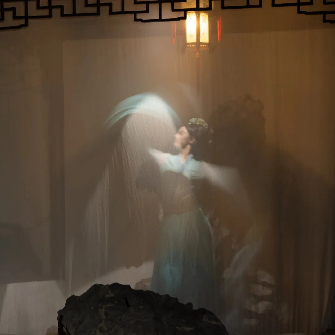 夜游网师园必看！带你解锁古典园林夜魅力-60