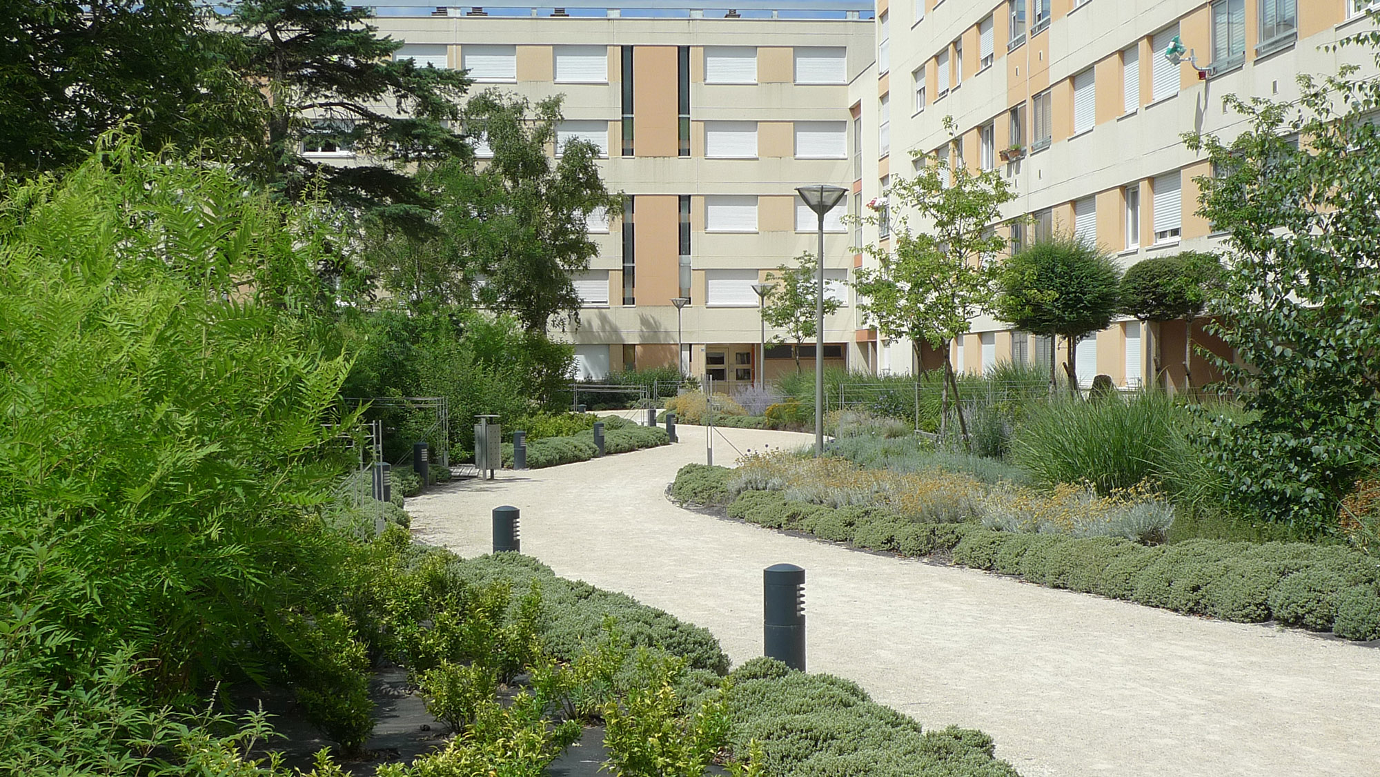Quartier de la Madeleine - la résidentialisation - La Compagnie du Paysage-35