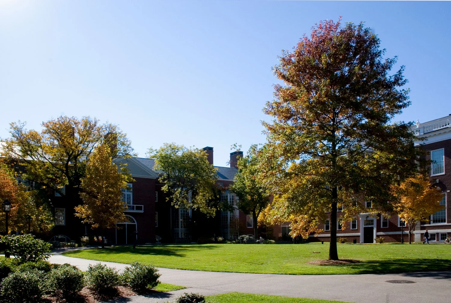 哈佛商学院学术校区设计丨意大利马萨丨Halvorson-15