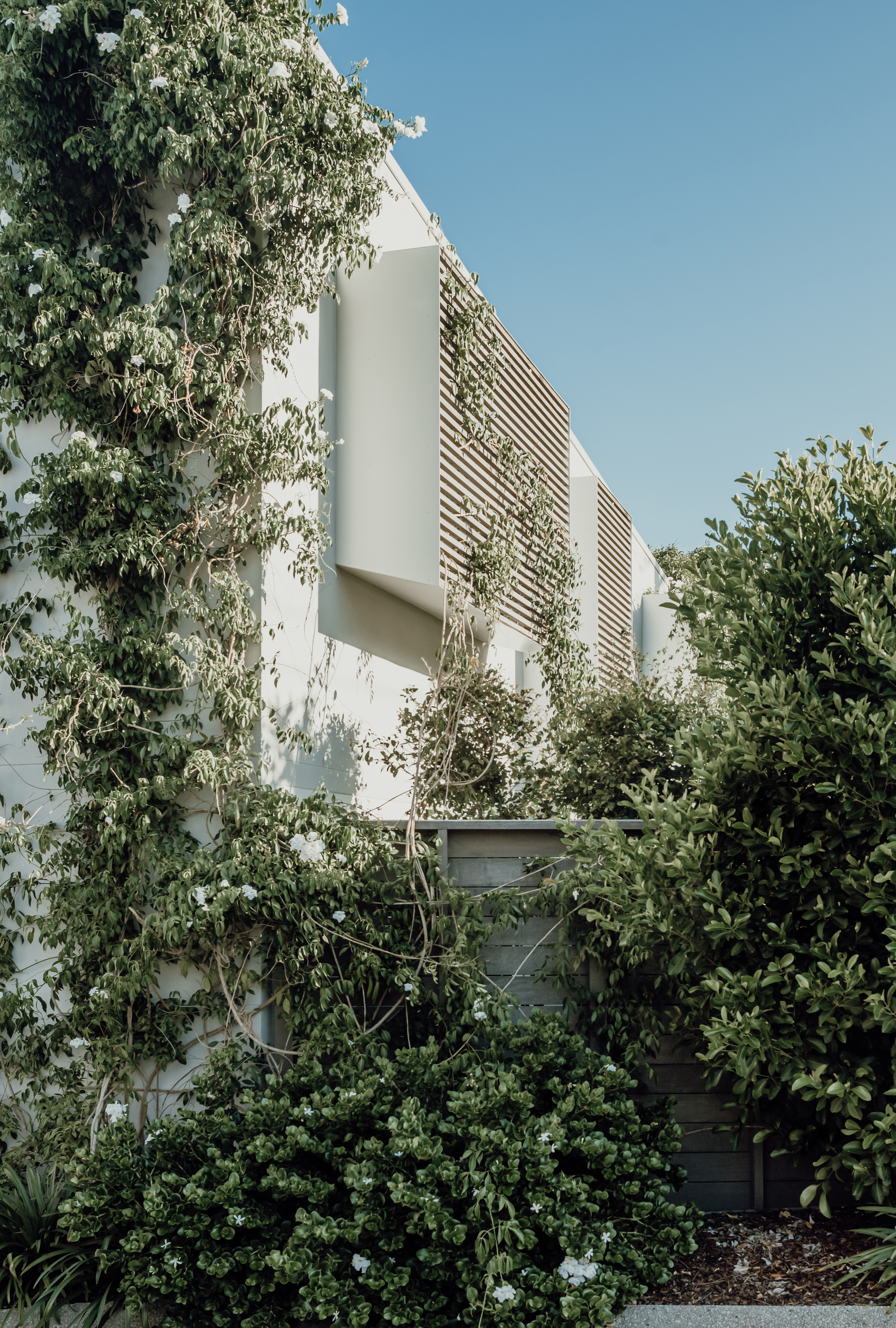 阳光沙滩屋丨澳大利亚丨Sealand Architects-23