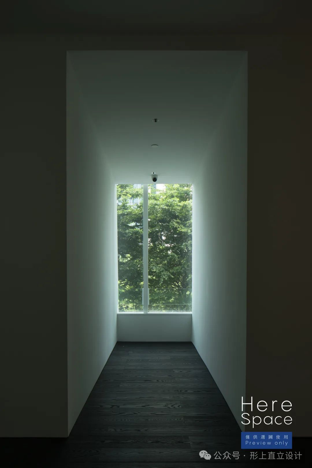 形上直立设计 |  森林礼堂-213