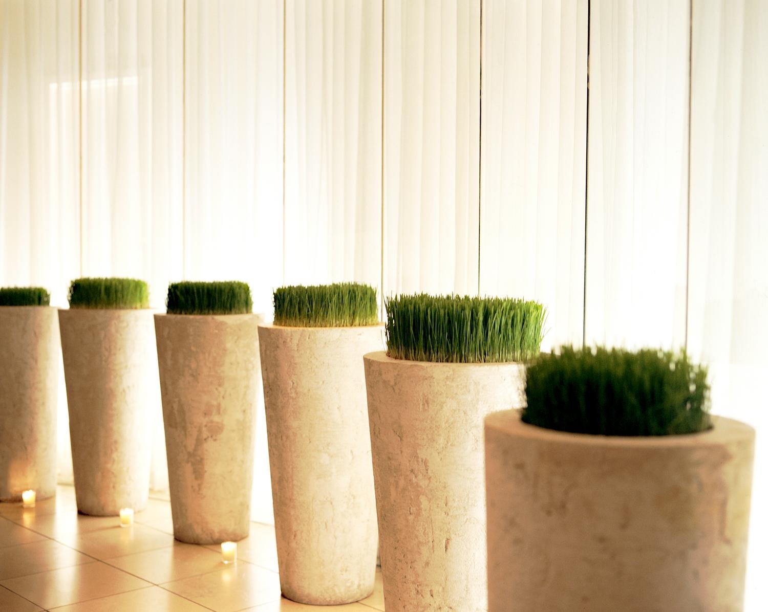 W Atlanta - Perimeter, Atlanta, Georgia (GA), United States-16