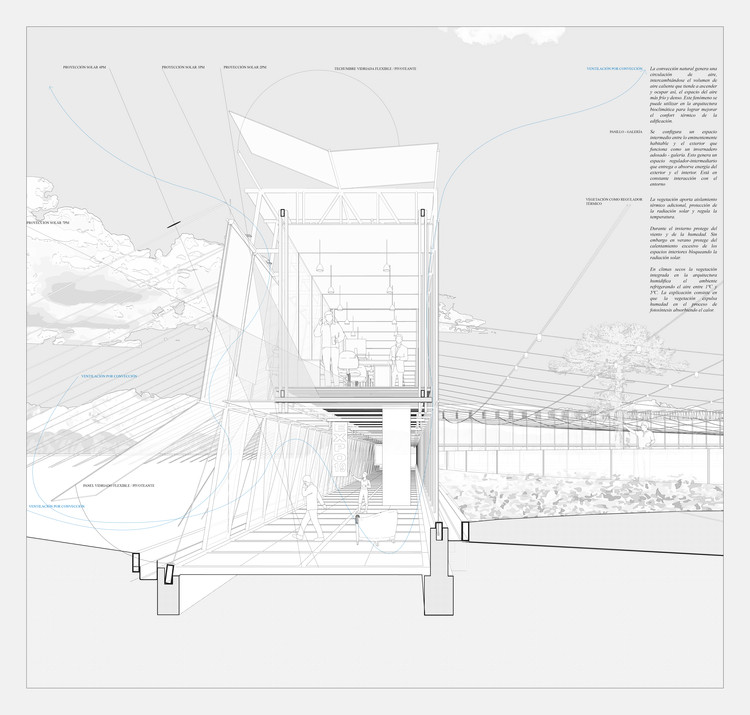 生物群落与种子研究中心丨智利丨中央大学Hugo Valenzuela等学生团队-26