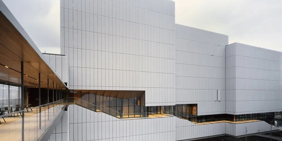 Grand morillon 学生宿舍丨瑞士日内瓦丨隈研吾建筑都市设计事务所,CCHE Lausanne-20