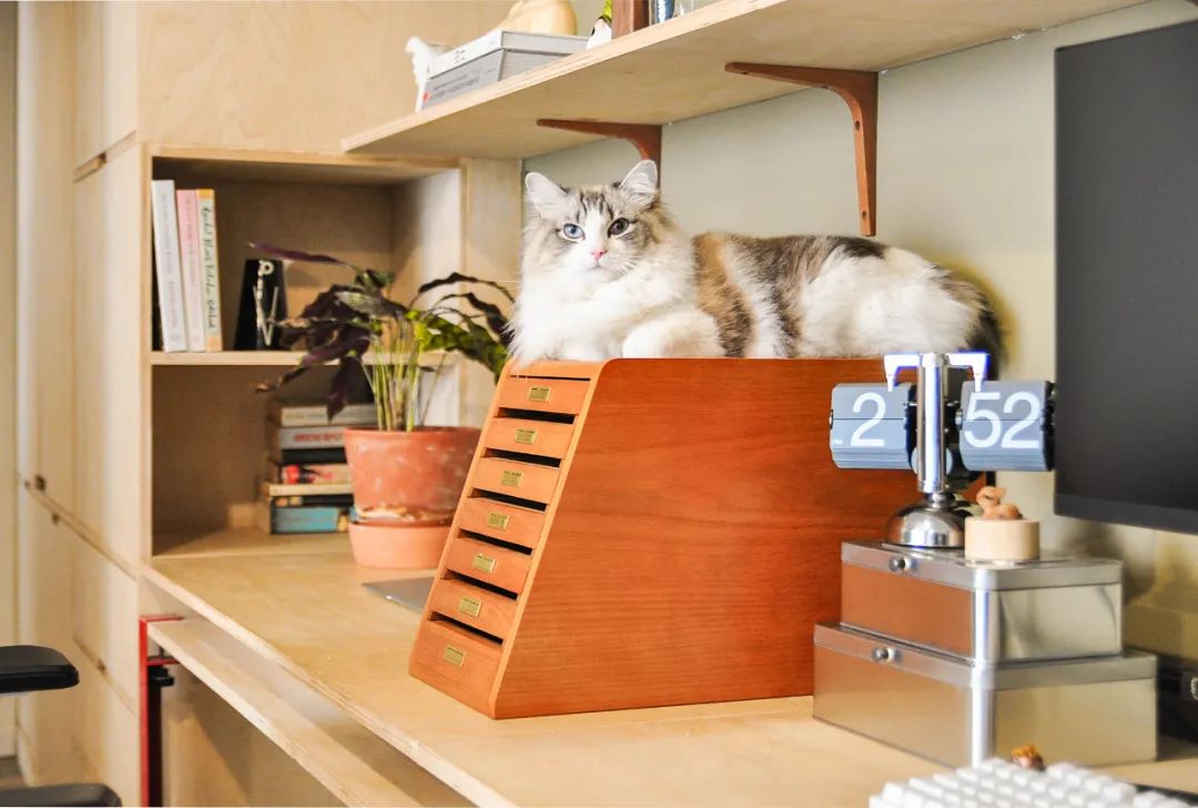 旧屋爆改 · 成都 60㎡小户型设计丨中国成都丨@iflife-7