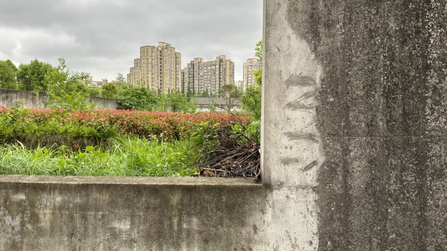 复园丨中国上海丨或然景观-20