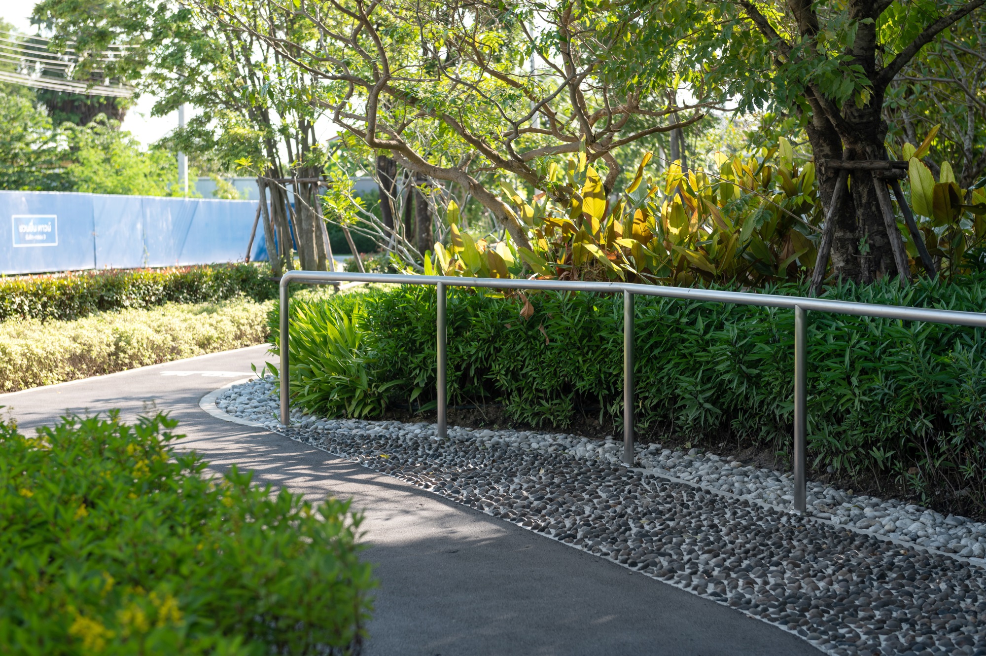 川春镇兰实空 3 区丨泰国巴吞他尼-25