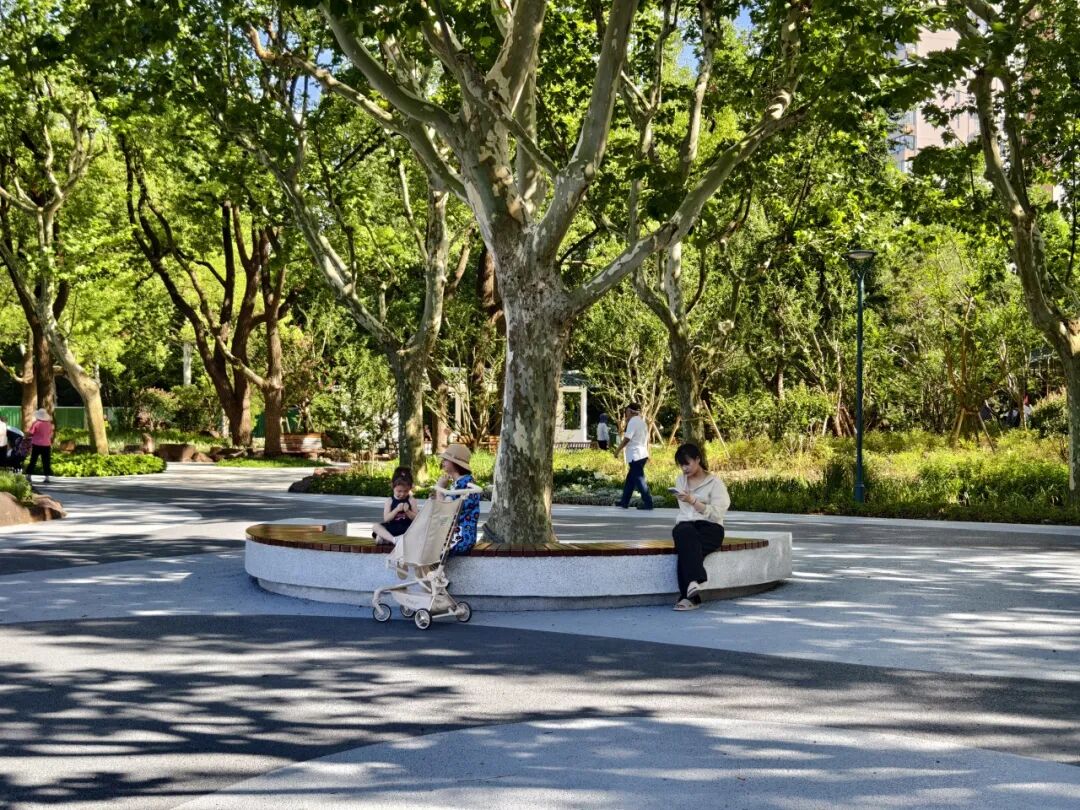 中国园林·理事专栏|“拓”之力量：杨浦公园改造纪实(三)-50