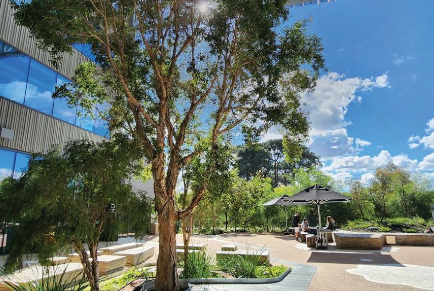 科廷大学设计与建筑环境学院项目丨澳大利亚珀斯丨Realm Studios,Wardle等-2