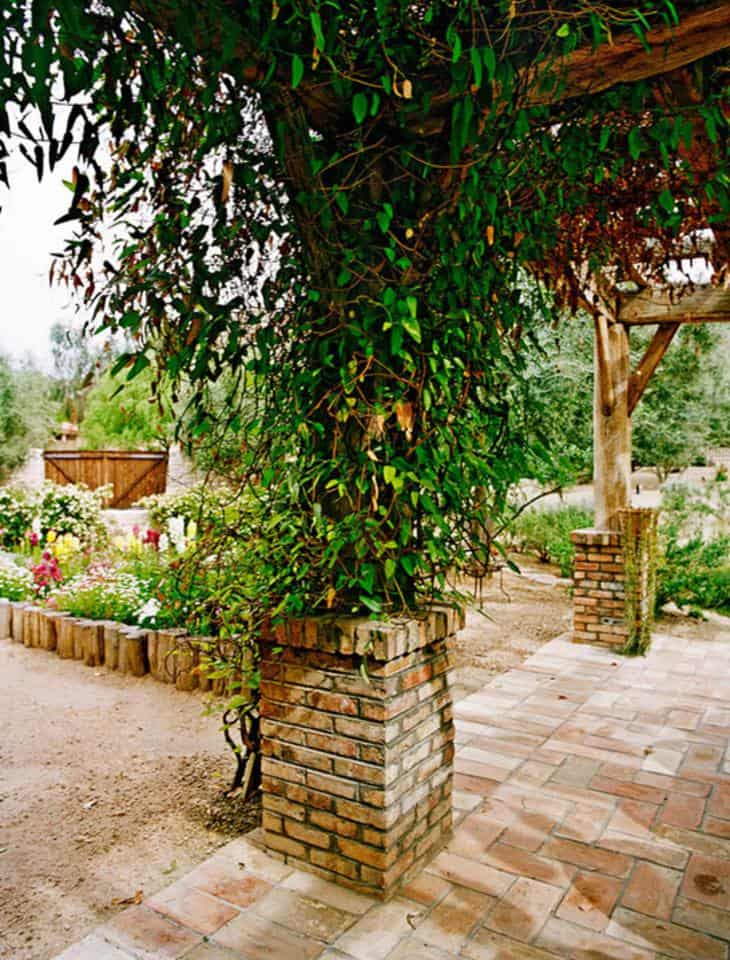 丨BrazilPara丨OZ ARCHITECTS INC-20