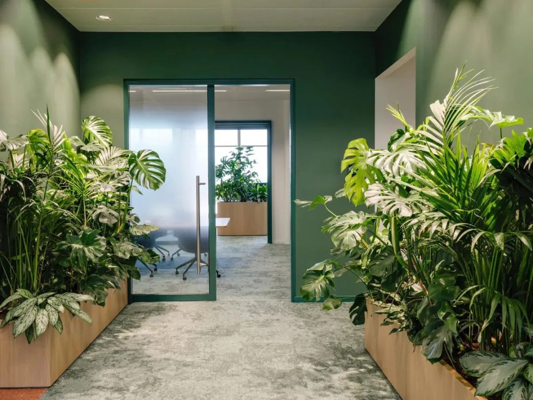 Galapagos企业总部丨荷兰丨CBRE-54