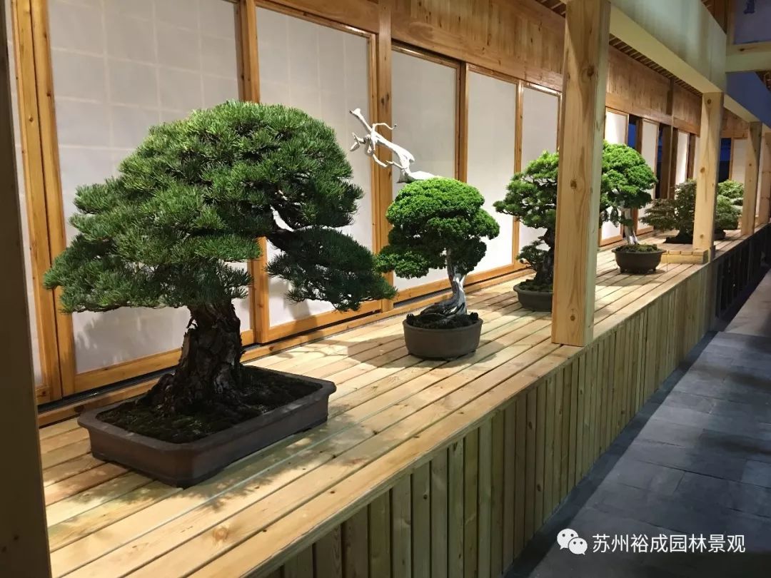 禅意屋顶花园，品茗抚琴如诗如画-15