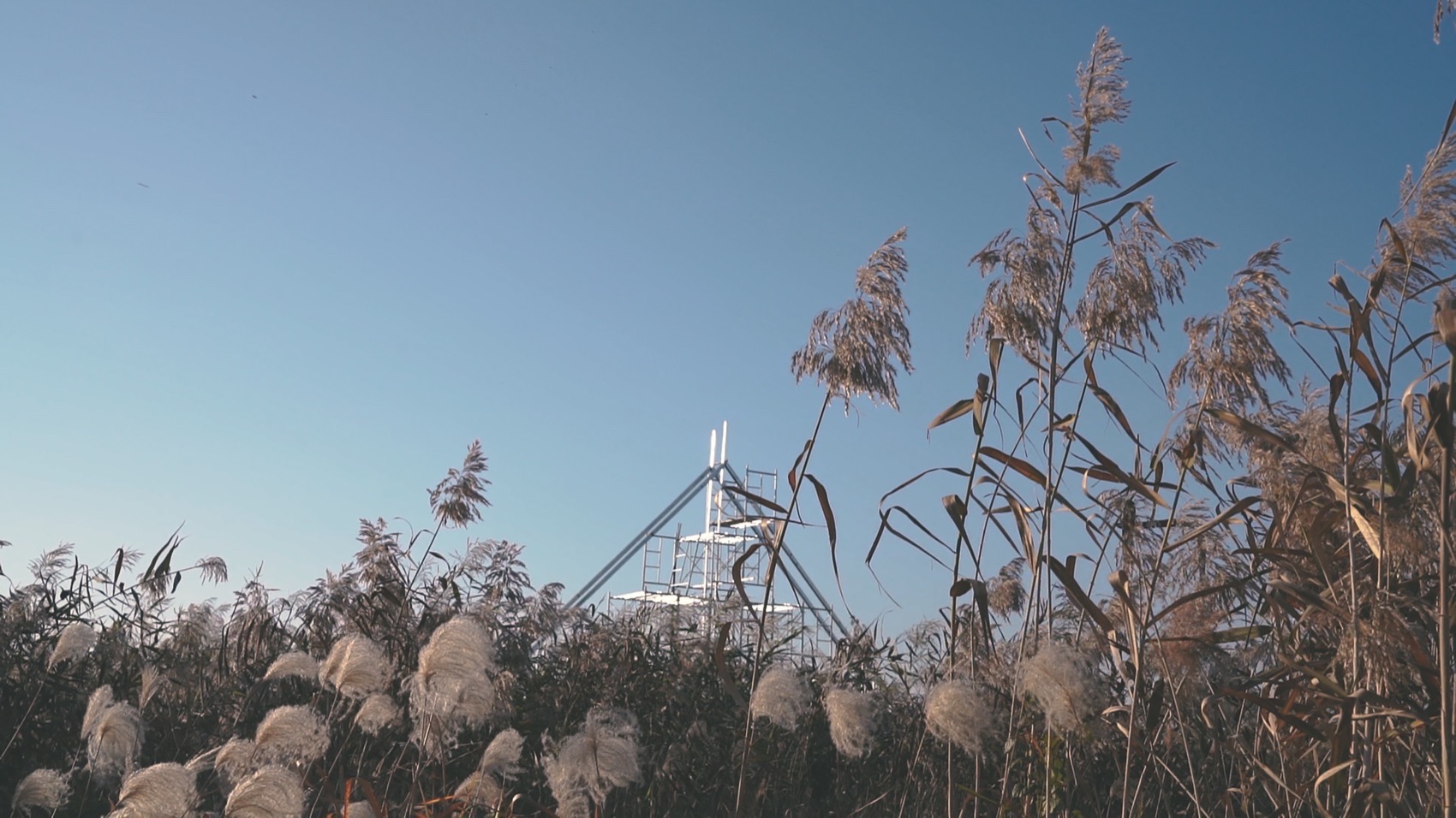 疗愈之“山”丨中国岳阳丨杜扬工作室-95