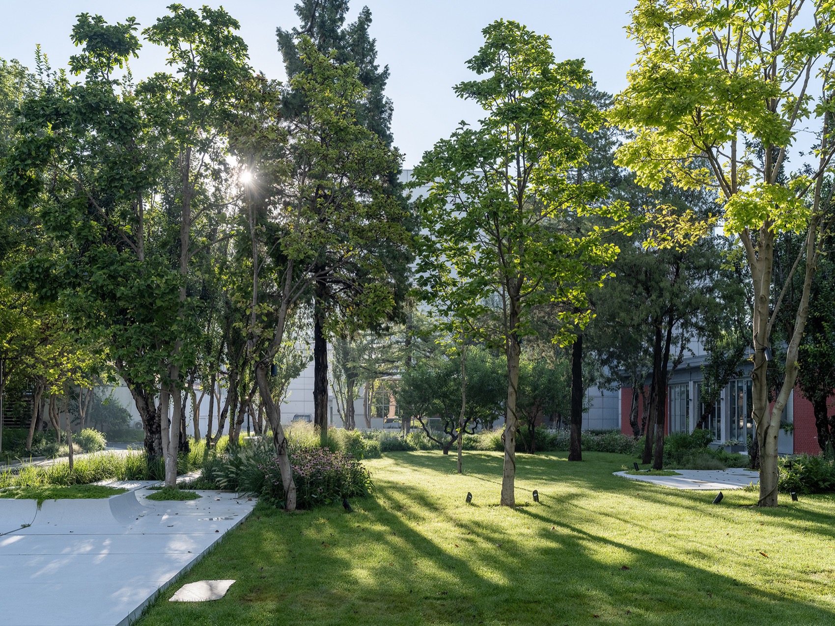 北京市三里屯西五街5号院花园丨中国北京丨OneScape一域景观事务所-43