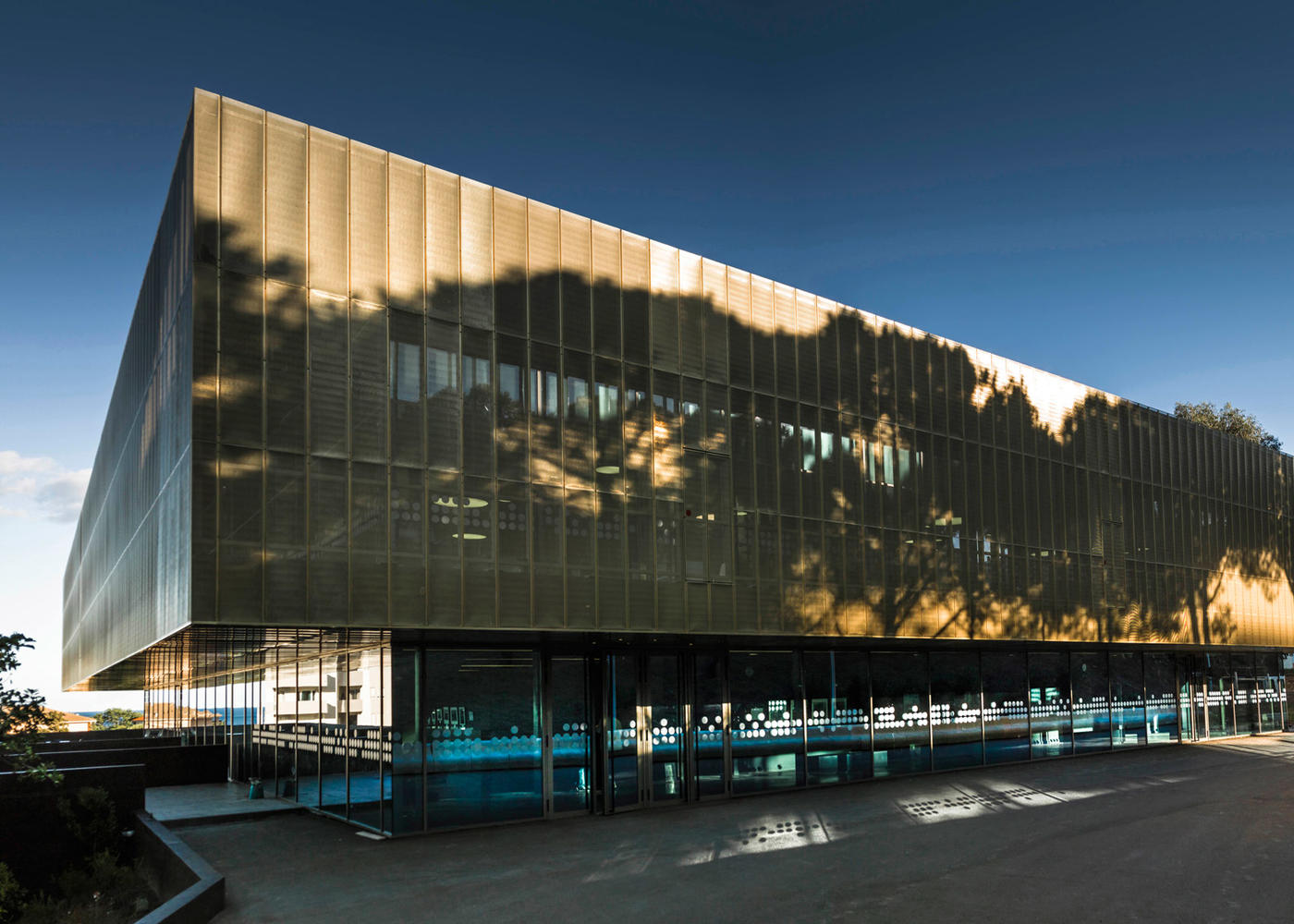 如同林间的鸡油菌 巴斯蒂亚文化中心-1