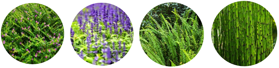 金地中心丨中国盐城丨LAURENT罗朗景观-33