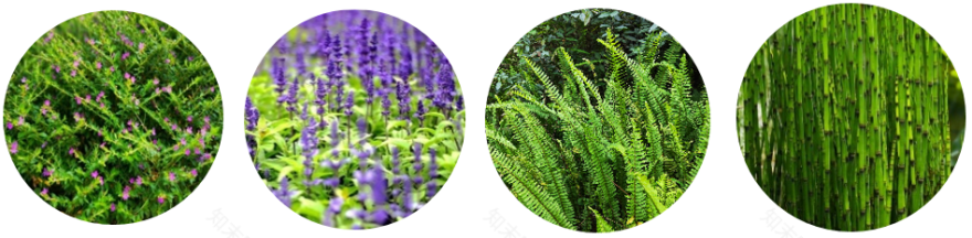 金地中心丨中国盐城丨LAURENT罗朗景观-33