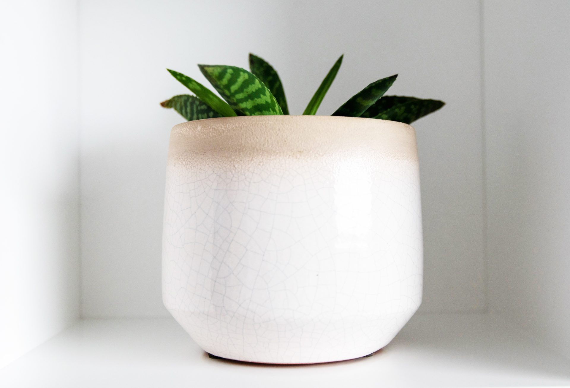 Modern Interior Design Minimalist - Global Inspirations Design-16