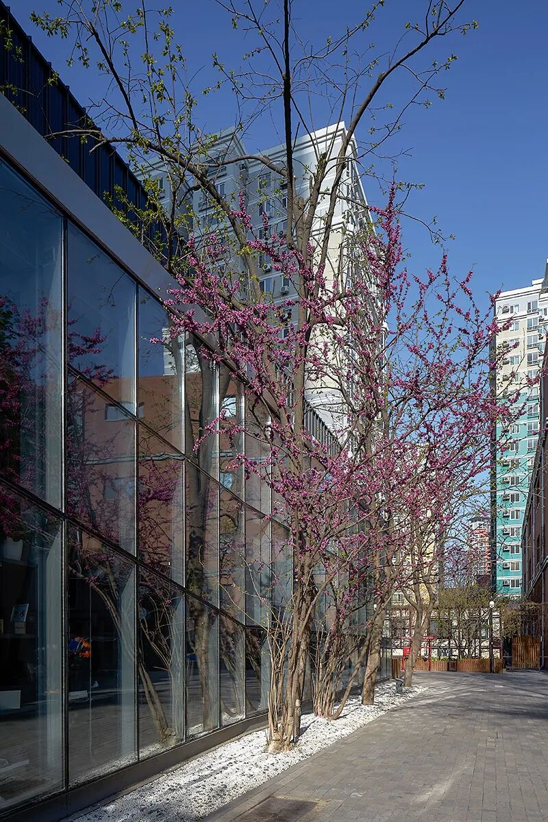 九树三花——郎园vintage环境提升-51