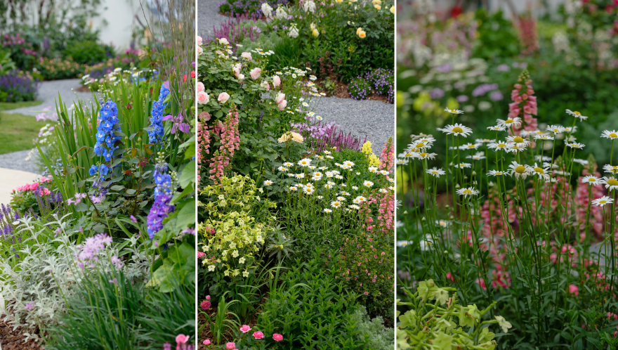 漫诗地展园丨中国成都-1