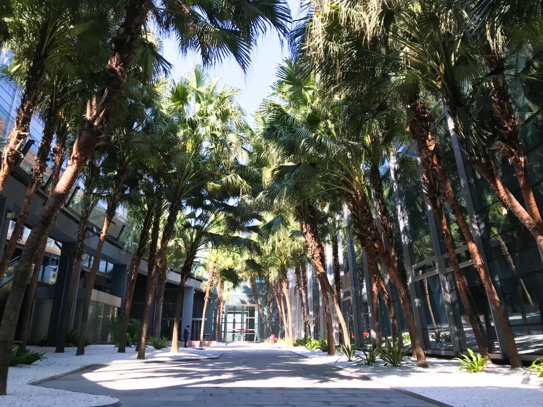 云山雅境,花园会议——广州白云国际会议中心-41