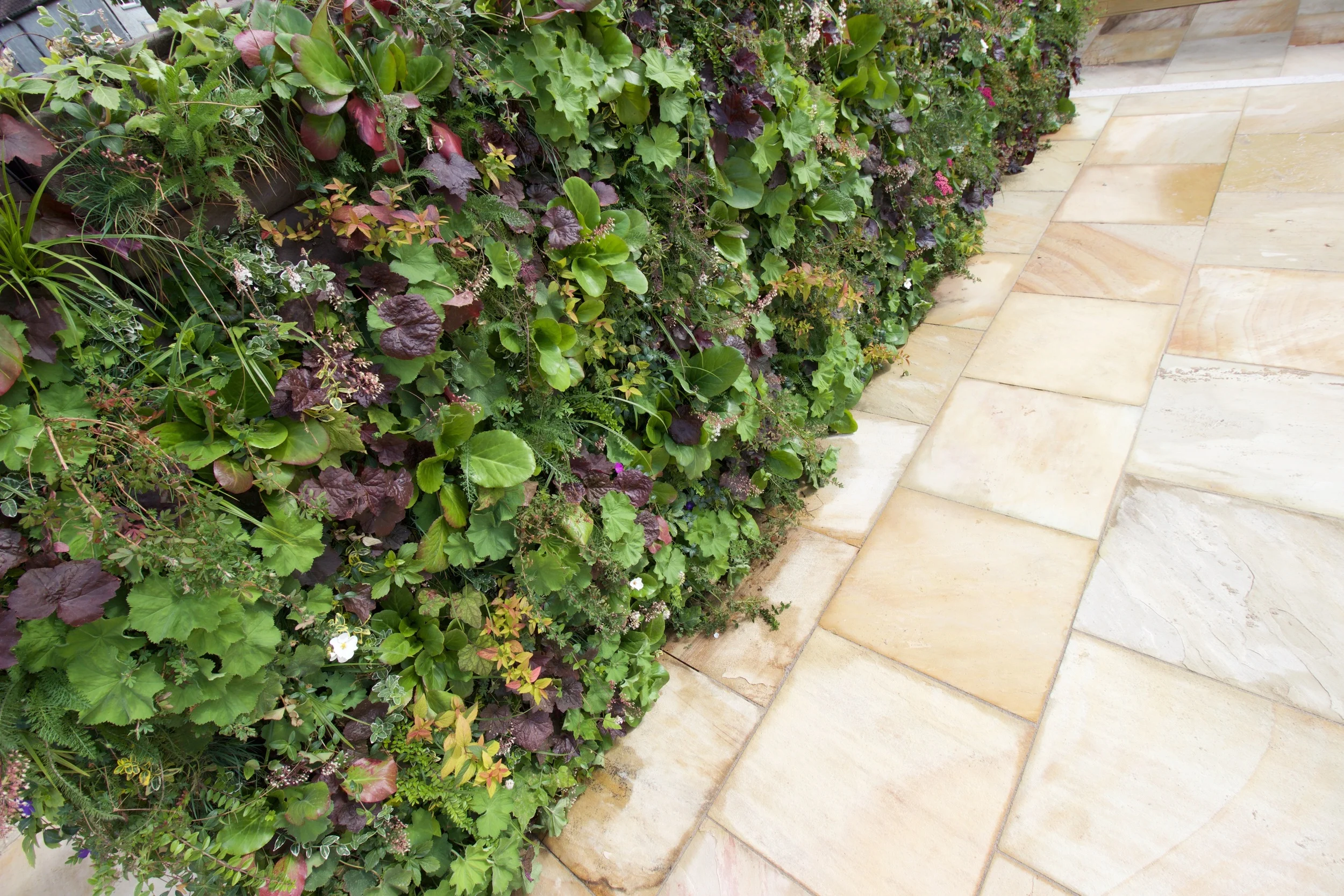 垂直绿墙花园丨爱尔兰都柏林-49