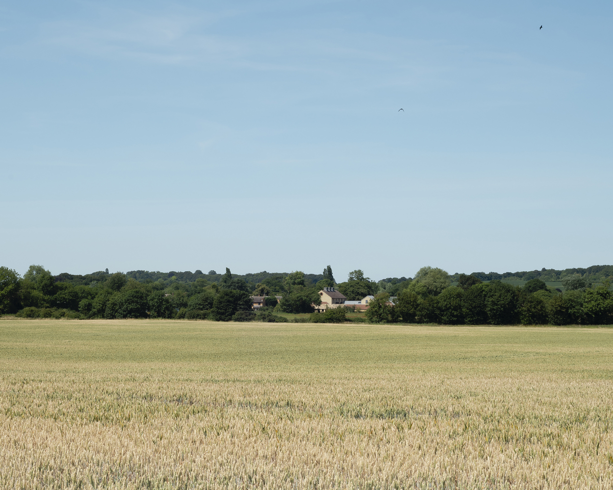 剑桥 ACE 基金会粮仓改造 | 文化教育的新地标-70