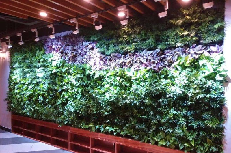 咸阳 MSE私享影院-植物墙-2