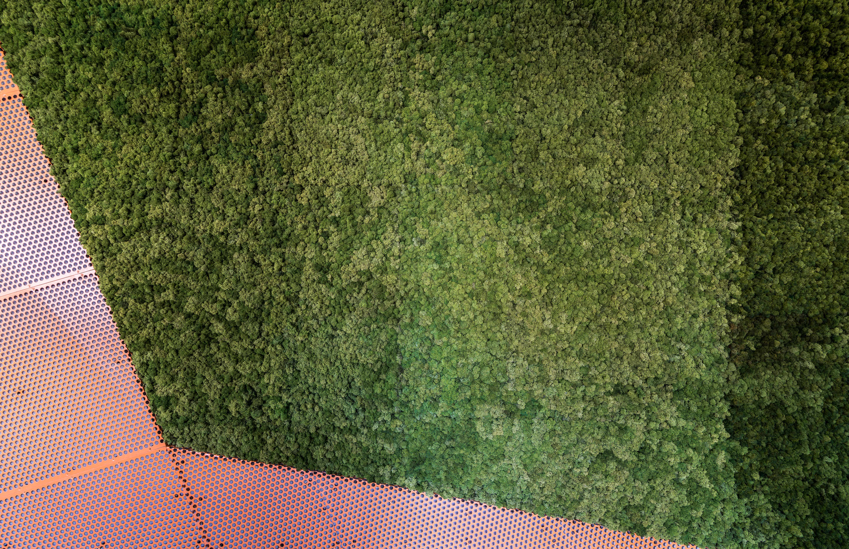 波兰老年医疗酒店综合体设计-43