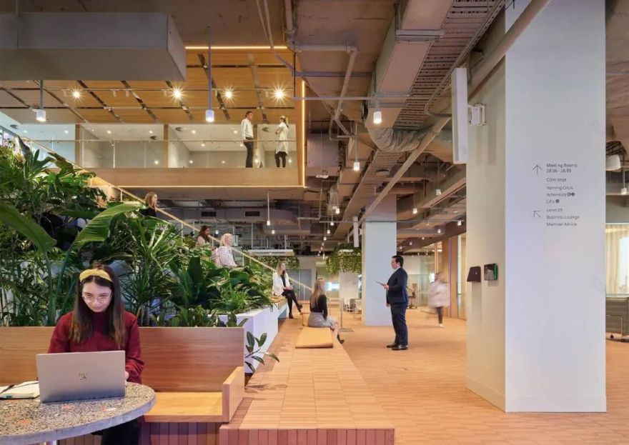 澳洲养老基金ART布里斯班总部丨澳大利亚布里斯班丨Cox Architecture-18