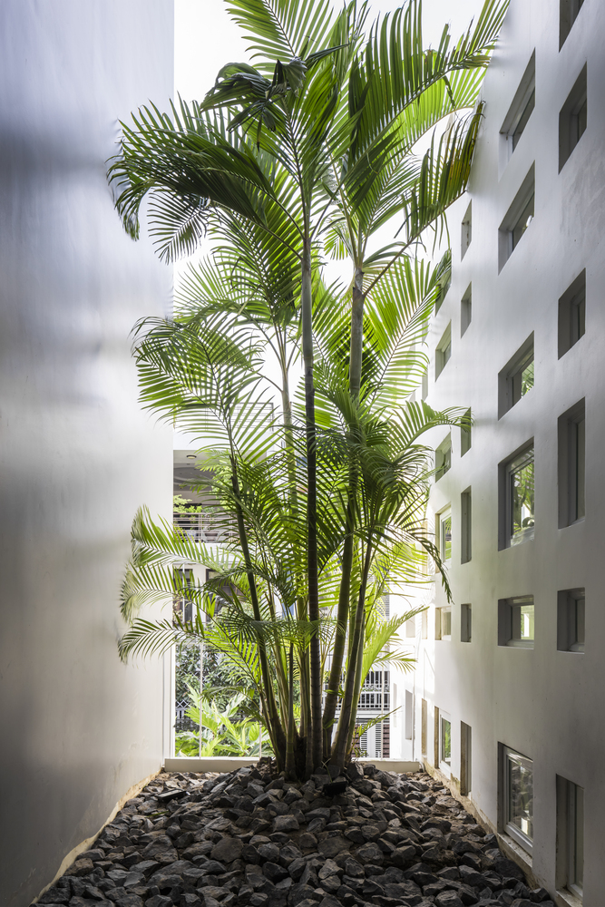 微风轻拂，光影共舞——自然之韵室内设计赏析-4