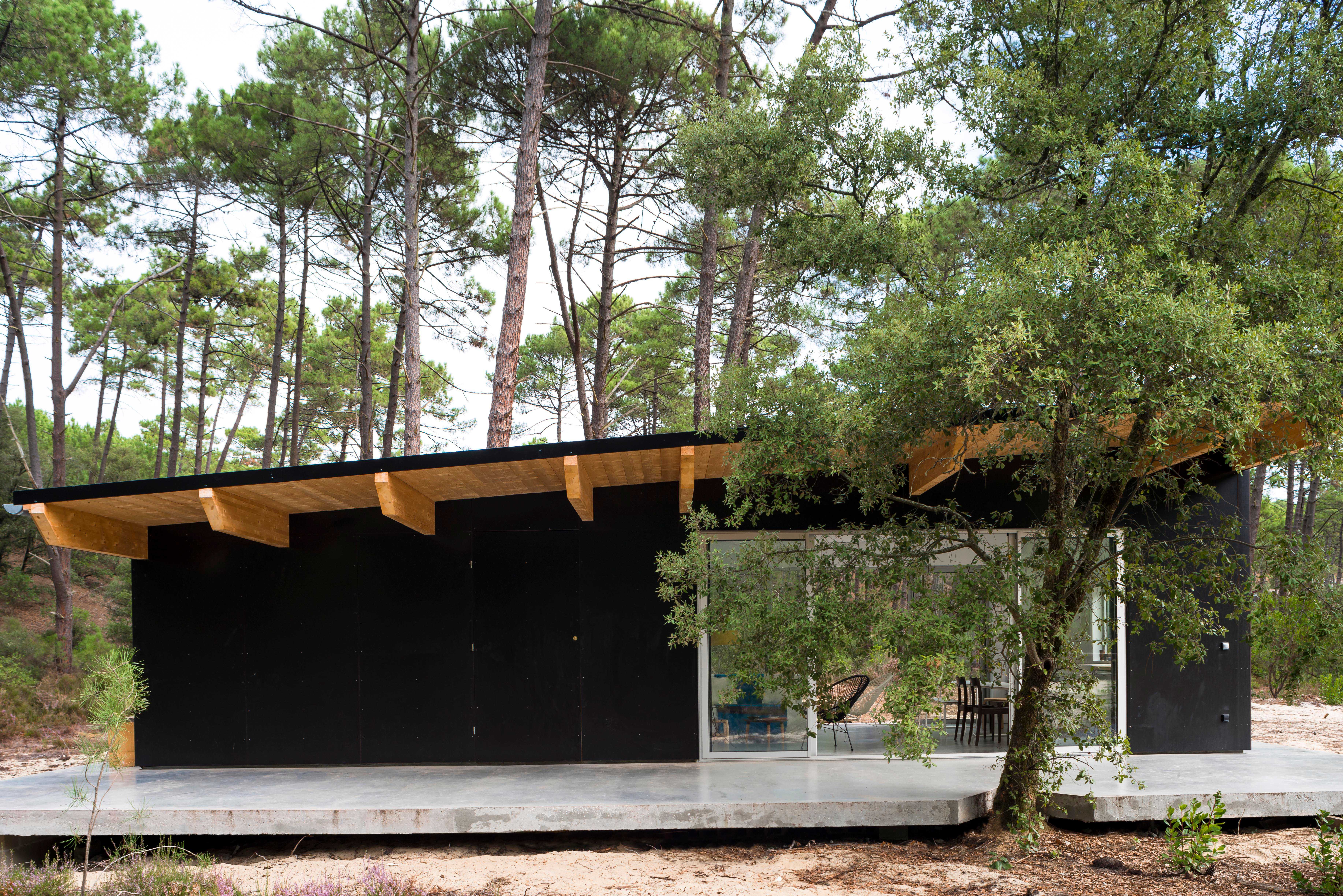 漂浮森林中的度假屋-15