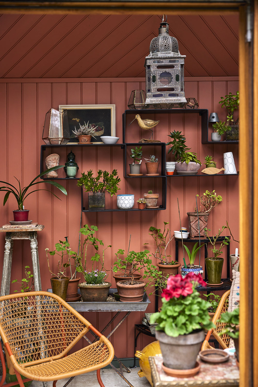 伦敦乔治亚式联排别墅的大胆色彩与装饰-18