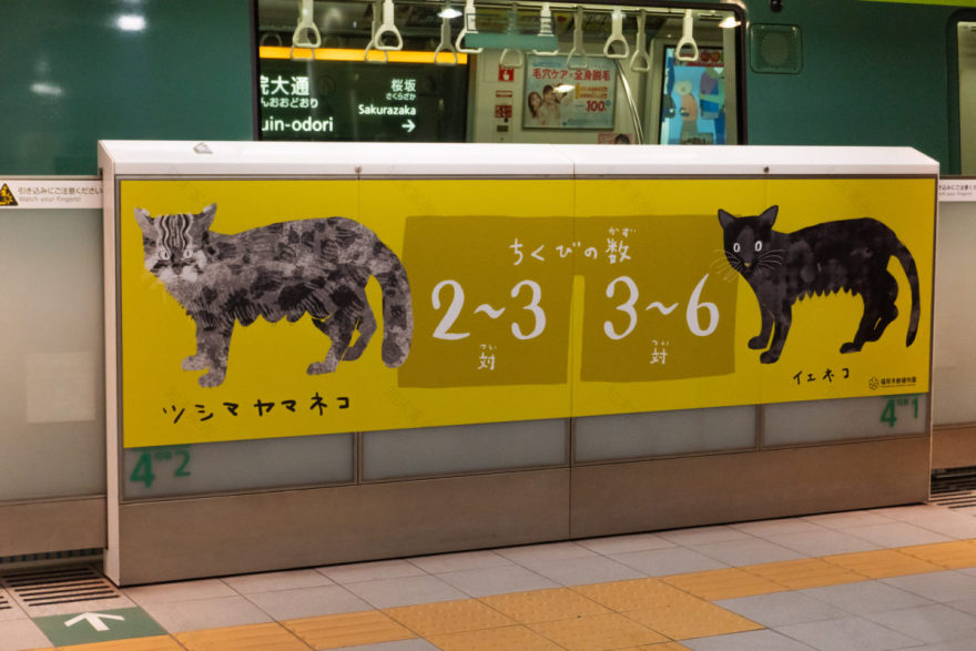 薬院大通駅 福岡市動植物園特別装飾丨anno lab-11