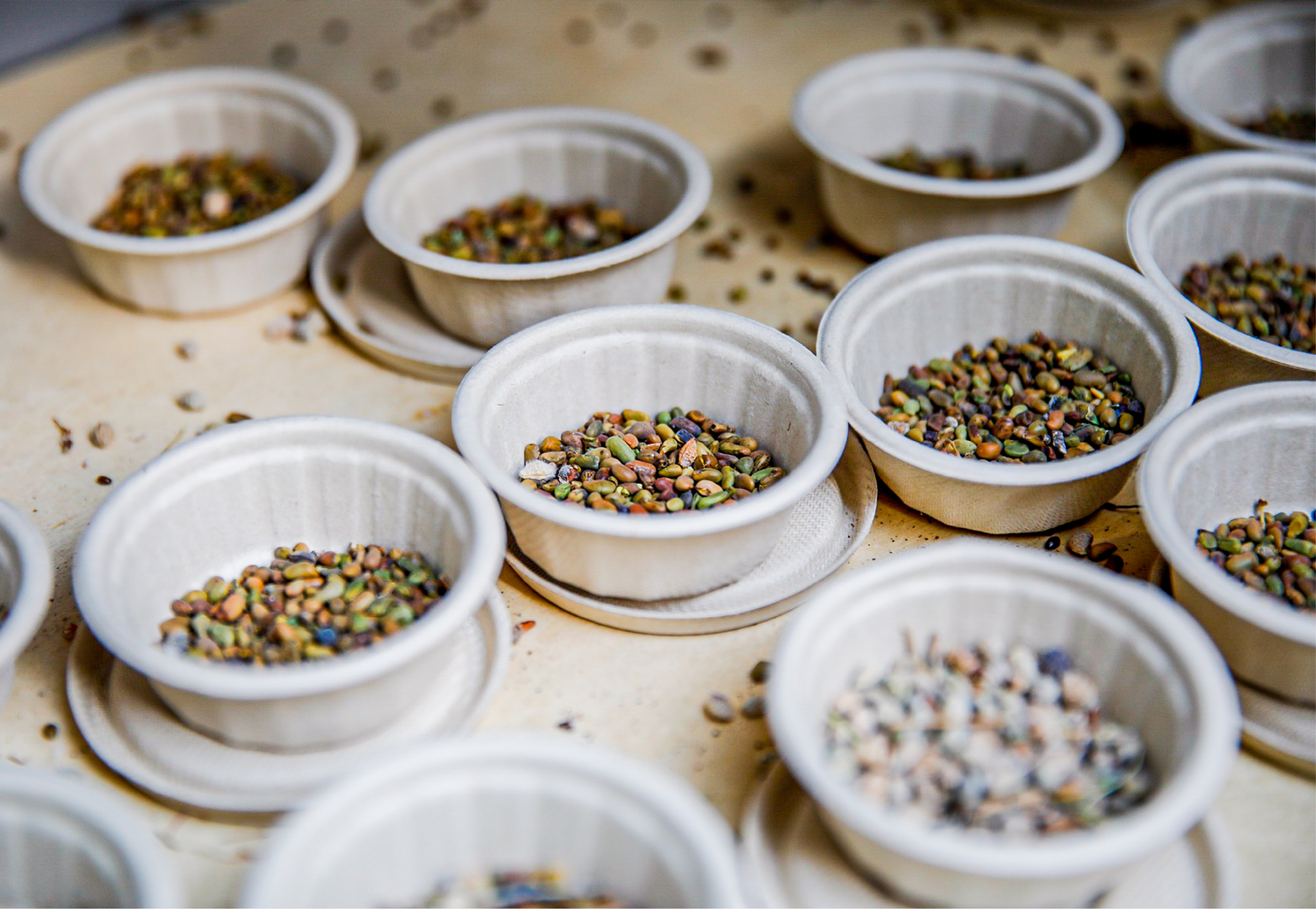 《森林LAB · 城市里的荒漠森林》互动展览丨中国杭州丨蚂蚁森林×不是美术馆-44