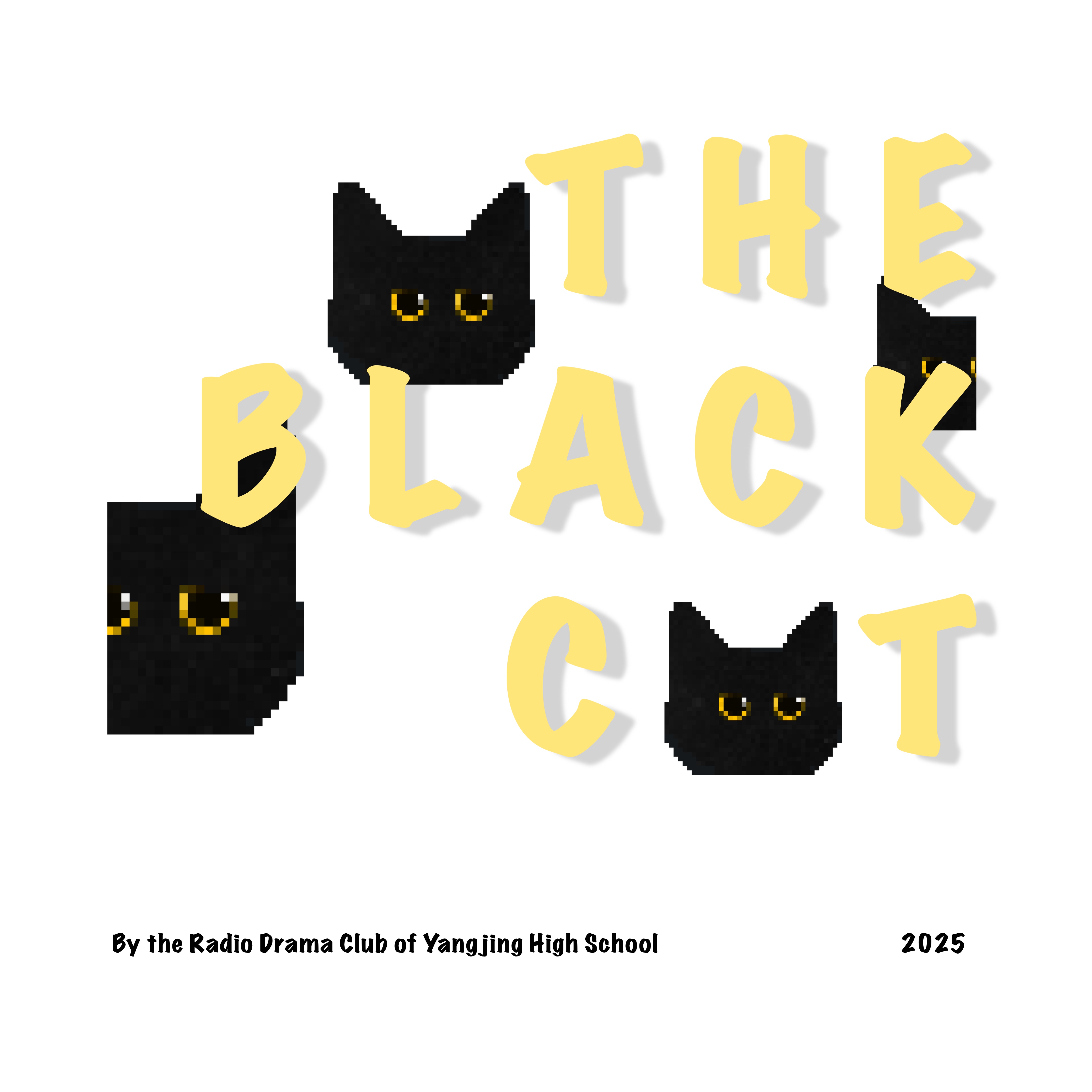 The Black Cat Charity Products-0