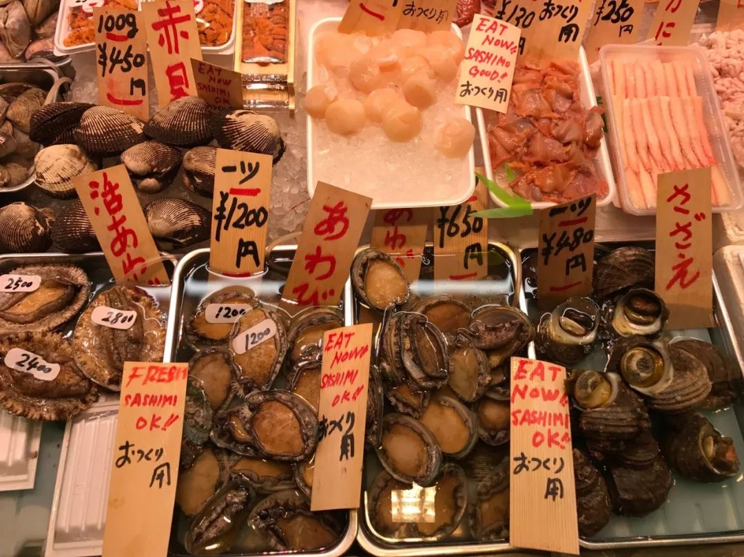 谢柯 | 自由生长的空间诗人-34