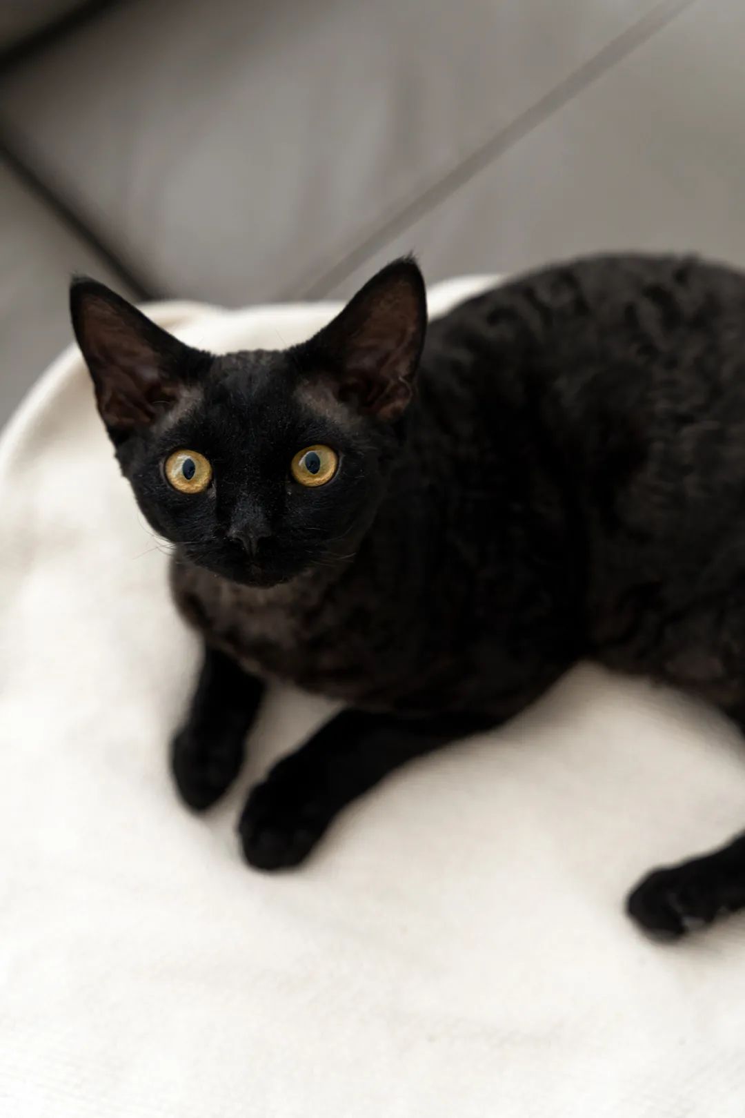 高迪愙新作 | 知时-69