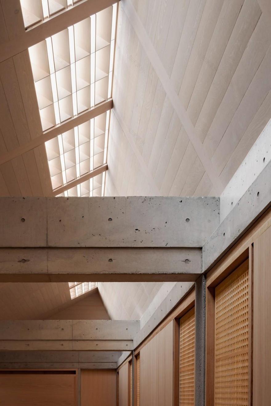 小石川“蝴蝶”屋顶住宅丨日本丨手嵨保建筑事务所-14