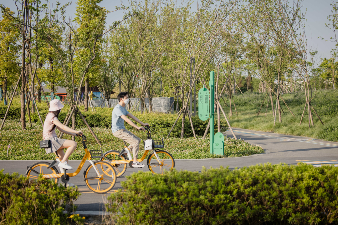 天府绿道·萌宠乐园｜良相设计-95