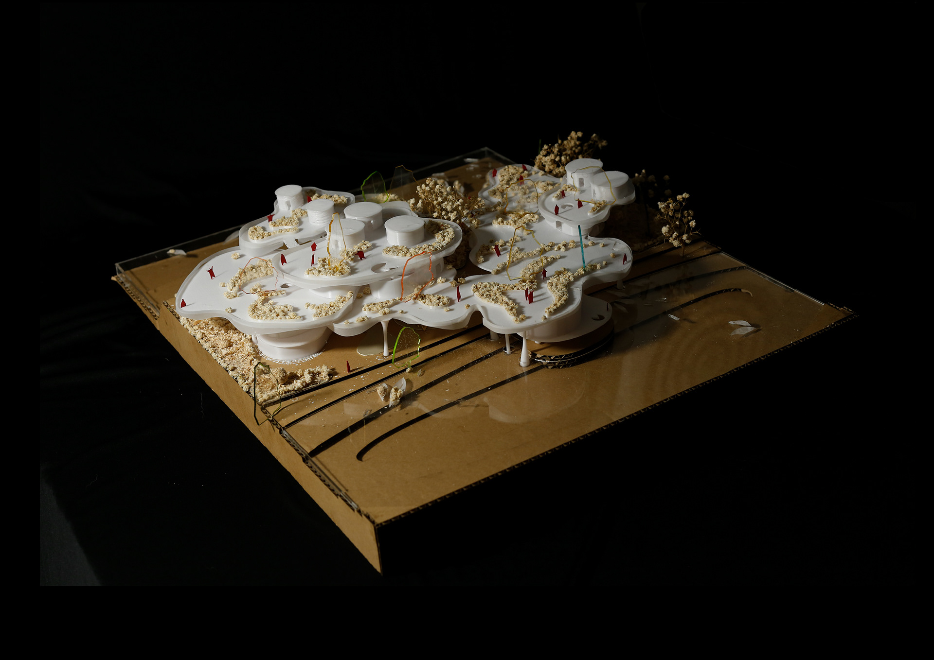 EXHIBITION CENTERS & PROMOTION OF AGRICULTURAL PRODUCTS-32