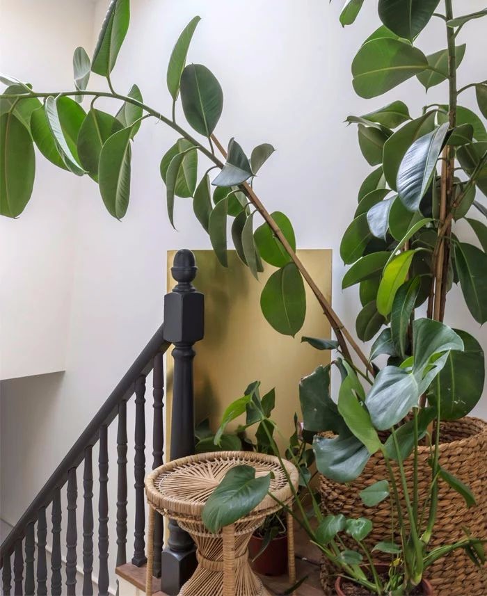 伦敦住宅的黄铜魅力-55