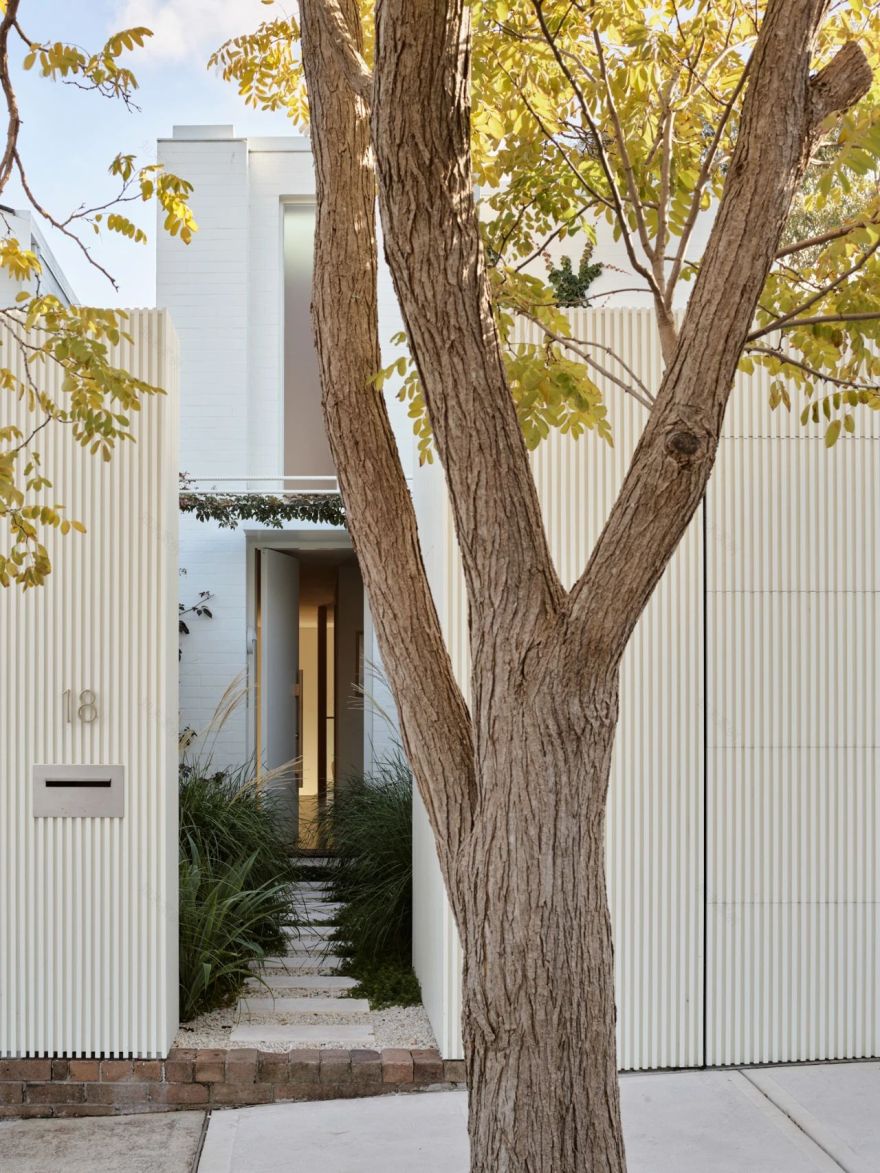 自然诗意之旅 · Woollahra House丨澳大利亚悉尼丨Freya Salter-6