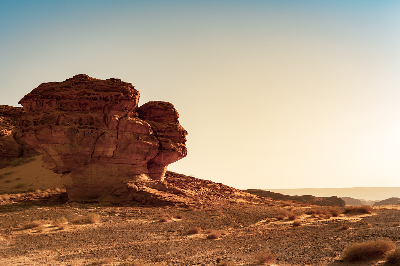 Face Rock 景观设计丨沙特阿拉伯-6