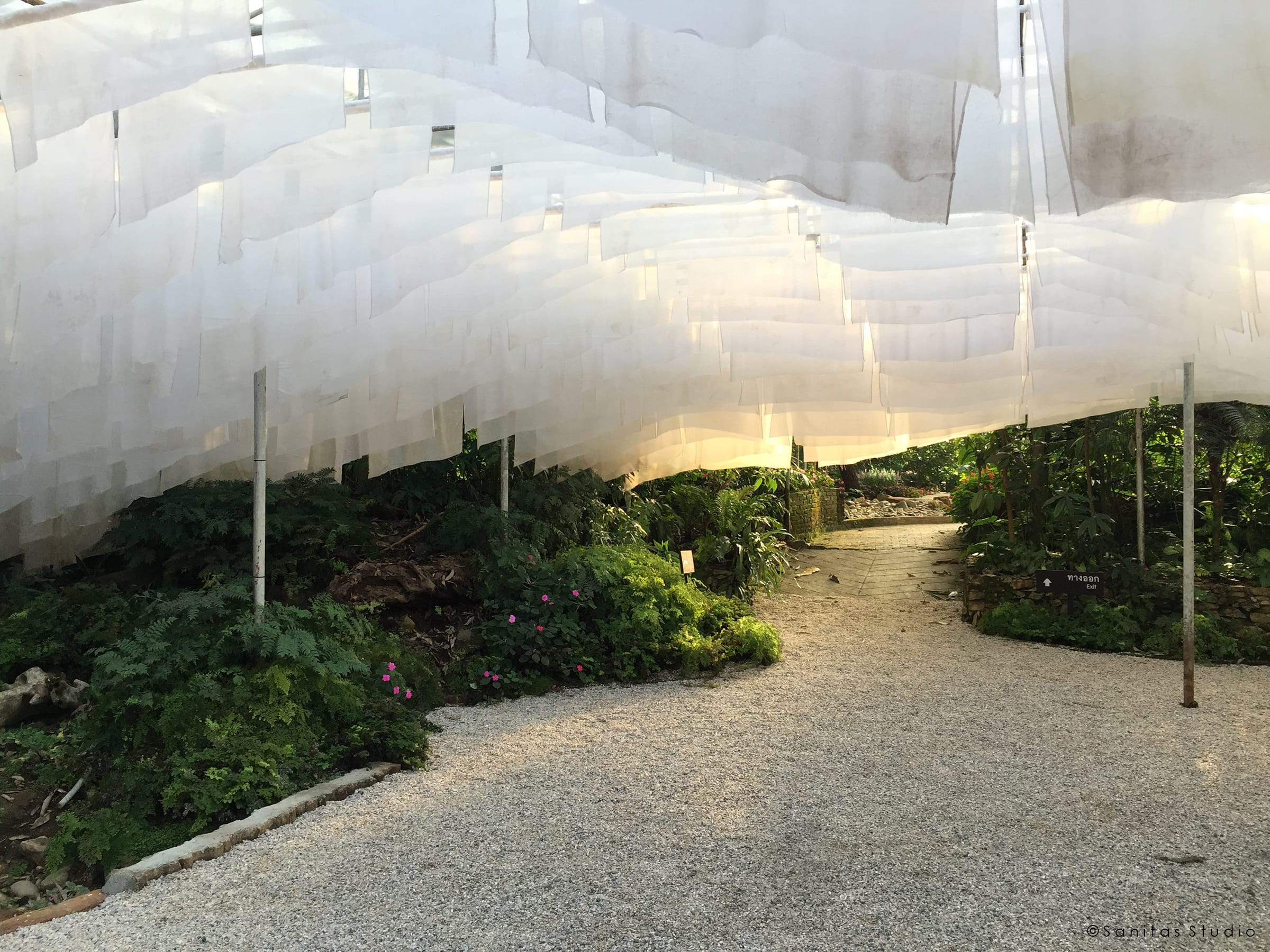 在山中,萨尼塔斯工作室-14