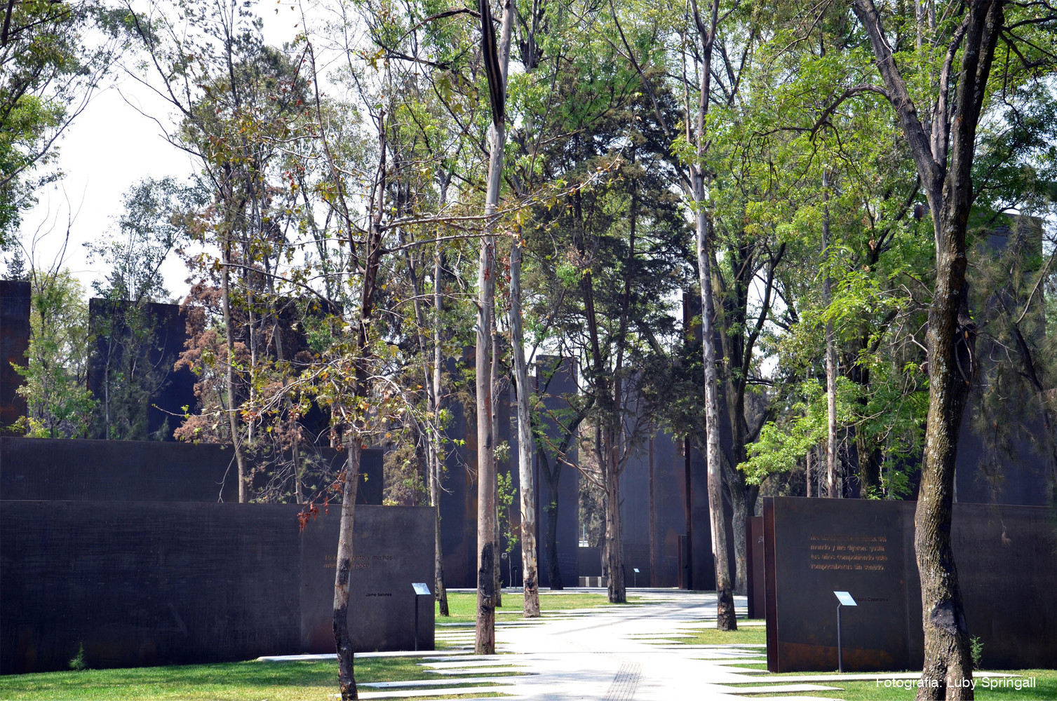 建筑一周 | 法国发起重建巴黎圣母院的竞赛；Isenberg管理学院商业创新中心落成；越南建成兼作咖啡厅与住宅的砖拱建筑 -15